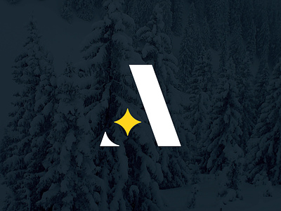 a star branding branding concept branding design identity logo mark typography
