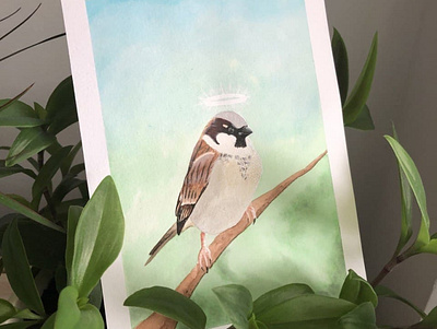Sparrow bird draw illustration illustrator nature watercolor