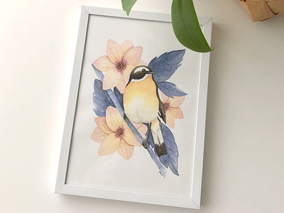 Whinchat with Dhalia Bishop-of-York bird bird illustrator illustration illustrator nature watercolor watercolor illustration watercolor painting