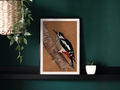 Great Spot bird draw illustration illustrator nature polycrhomos woodpecker