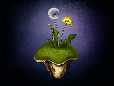 Dandelion dandelion illustration magic