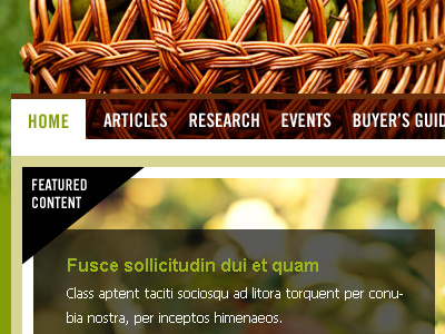 Homepage Mock green homepage navigation