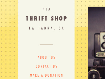 PTA Thrift Shop clean futura vintage wes anderson