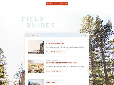 CA TRVLN - Field Guides articles blog clean cta list photography travel ui web design