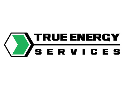 True Energy Logo business logo