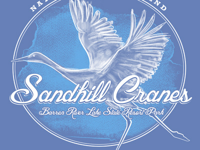 Sandhill Cranes conté illustration watercolor