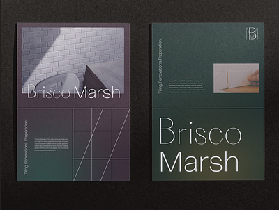 Branding Brisco Marsh Tiler branding capability statement design graphic design identity layout logo tiler typography