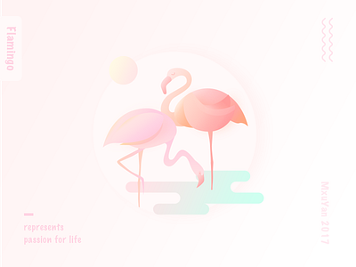 Flamingo-Illustration illustration