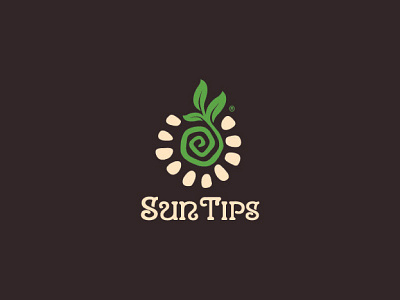 SunTips branding earth green leaf logo plant sprout sun