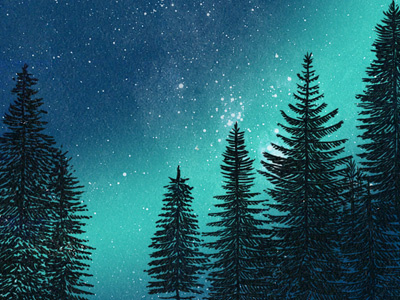 forest forest illustration night north northern sky stars