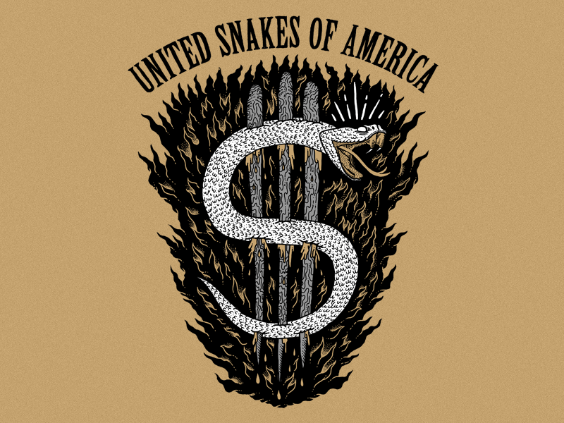 United Snakes dollar flames flaming illustration money snake usa