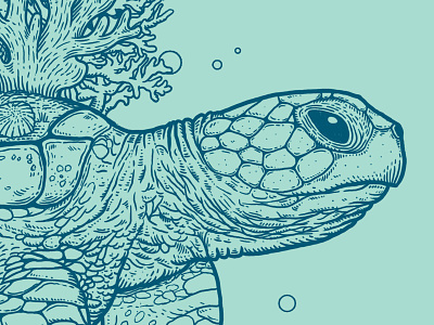 Sea turtle apparel illustration line work lines sea ts turtle