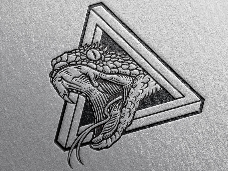 Atheris By Nebojsa Matkovic On Dribbble