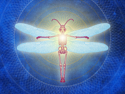 I come in peace alien.love aura geometry human illustration mantis sacredgeometry wings