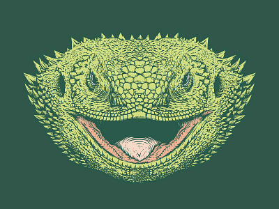 Reptile Kingdom animal dragon green illustration lizard nature reptile spikes tongue