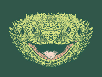 Reptile Kingdom animal dragon green illustration lizard nature reptile spikes tongue
