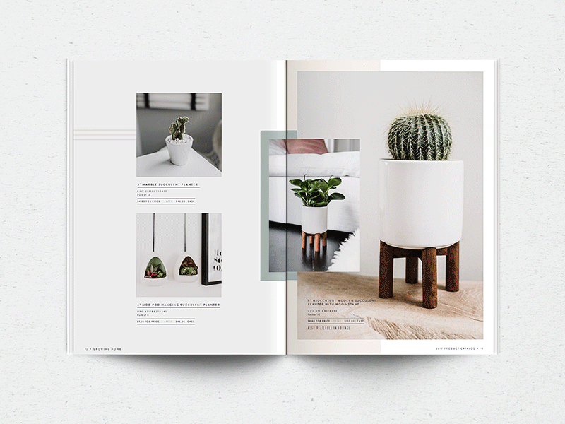 Growing Home Catalog arizonaeast catalog layout design plants print design succulents