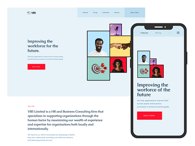 VBS Limited landing page redesign