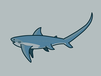 Thresher Shark animal austin blue clean icon illustration mug pen shark