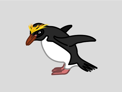 Macaroni Penguin