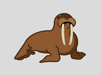 Walrus