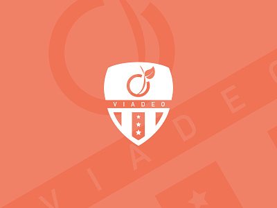 Viadeo's Football Team branding football team identity logo logo design shield soccer soccer logo viadeo