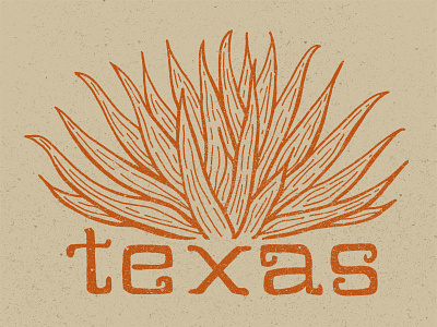 Yucca Texas cactus hand drawn texas