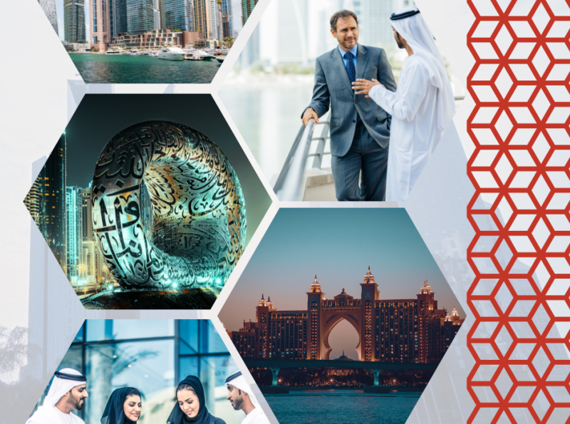 Real estate agent directory UAE by superior on Dribbble