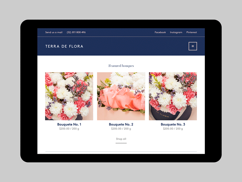 Terra de Flora - Website botanic boutique branding design flower garden greenhouse icon logo plant web workshop