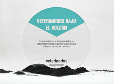 Award for Vets under the volcano (La Palma) branding design graphic design logo product design