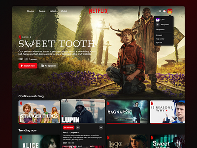 Redesign – Netflix netflix redesign web design