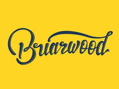 Reppin' The Hood b briarwood hand lettering lettering ligatures new york queens script type typography vector yellow