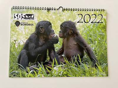 Calendar design (Non-profit: SOS Primates) adobe illustrator adobe indesign adobe photoshop calendar calendar design design graphic design print print design