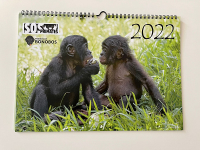 Calendar design (Non-profit: SOS Primates)