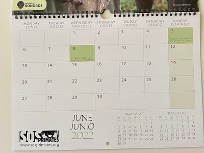 Calendar design (SOS Primates, non-profit) adobe illustrator adobe indesign adobe photosho`p calendar calendar design design graphic design print print design