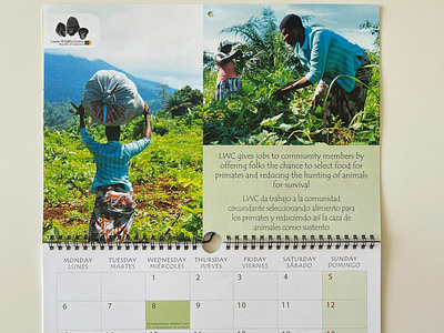 Calendar design (SOS Primates, non-profit)