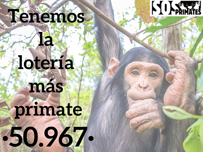 Social media post (Non-profit, SOS Primates)