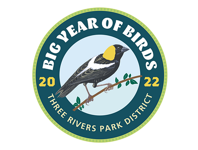 Big Year of Birds logo and patch bird logo patch