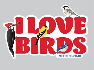 I Love Birds sticker design