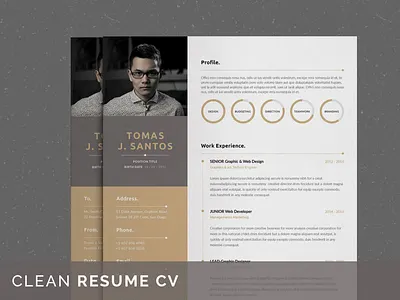 Word Resume CV Template cover letter curriculum vitae cv cv design cv resume cv template design diy free cv free font free resume graphic design job cv job resume job search modern resume resume teacher resume