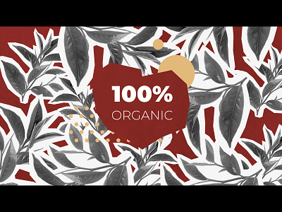 Organic design graphic graphic design illustration leaf leaves motion motion design organic tea tea leaves vector