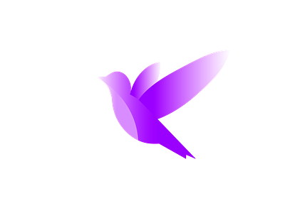 Premium quality bird logo 3d animation branding graphic design logo motion graphics ui