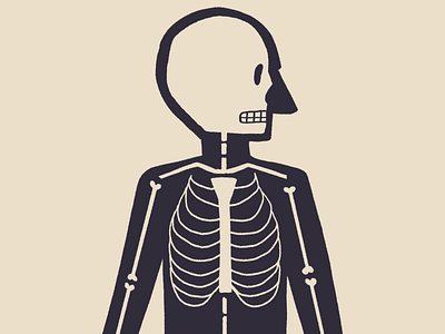 Skeleton anatomy bones illustration midcentury procreate retro retrosupplyco skeleton vintage