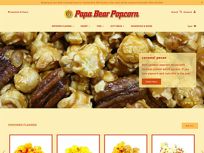 Papa Bear Popcorn design ecommerce food popcorn shopify webdesign webpage website