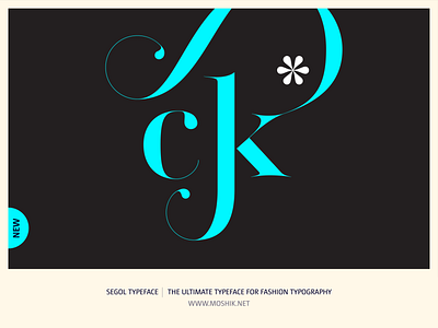 Segol Typeface - The Ultimate Typeface For Fashion Typography buy fonts ck ligature fashion logos