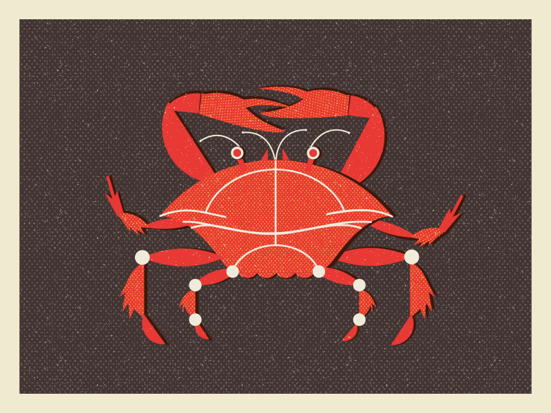 Crab crab geometric illustration nature