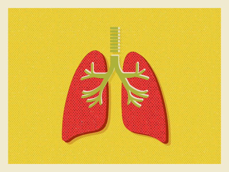 Lungs biology lungs medicine science