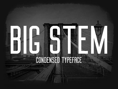 Big Stem Typeface | Font behance big condensed creative design font lettering type typeface vintage