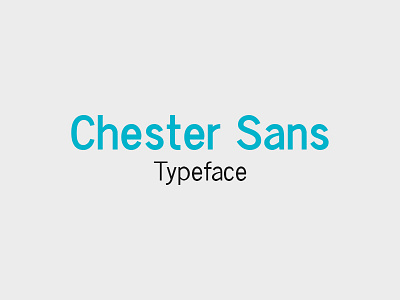 Chester Sans - Type Family