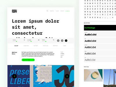 Typeface - Protype design download product design project protype slider tester typeface typeface design ui uiux ux website